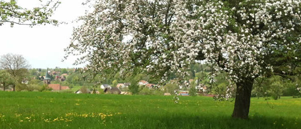 Paysage de printemps