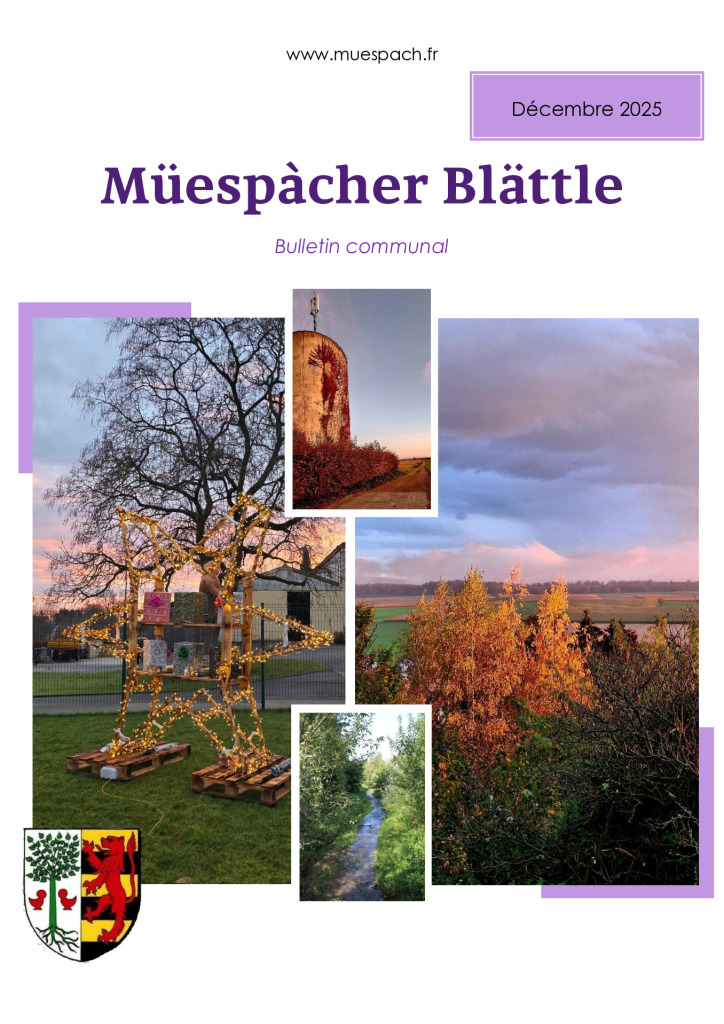 BLATTLE DECEMBRE 2025